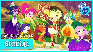 MLP Equestria Girls  Holidays Unwrapped HD [upl. by Orlanta697]