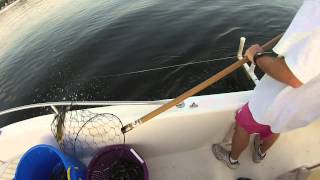 Crabbing on the Chesapeake Bay [upl. by Lonier578]