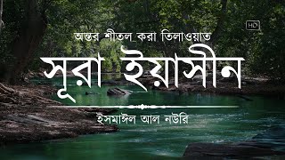 অন্তর শীতল করা সূরা ইয়াসিন এর তিলাওয়াত ┇ Surah Yasin Recited by Ismail An Nouri ┇ An Nafee [upl. by Grube490]