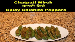 Chatpati Mirch चटपटी मिर्च Spicy Shishito Peppers [upl. by Rettig]