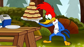 Who Stole Woodys Hamburgers  1 Hour of Woody Woodpecker Full Episodes [upl. by Reine]