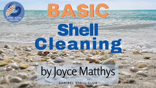 How to Clean Shells  Basic Shell Cleaning [upl. by Tamberg]