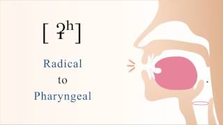 ʡʰ  unvoiced aspirated radical pharyngeal stop [upl. by Rubie]