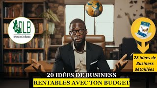 20 Business Négligés et Pourtant Très Rentables [upl. by Nyrmak]