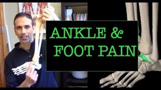 Ankle amp Foot Pain Mobilize your talus and fibula [upl. by Einot]