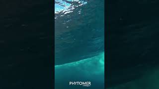 PHYTOMER Thalassotherapy for All [upl. by Macdougall]