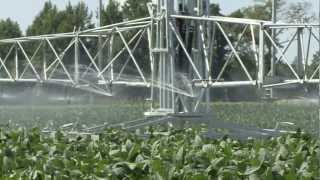 Irrigation Techniques For Soybeans [upl. by Sabra]