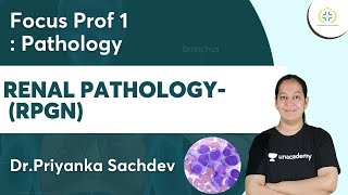 Renal Pathology RPGN  Focus Prof 1 Unacademy Future Doctors  DrPriyanka [upl. by Charmaine]