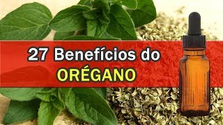 27 BENEFÍCIOS DO ORÉGANO [upl. by Hainahpez556]