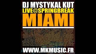 Live  Miami Spring Break 2009 [upl. by Dincolo878]