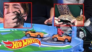 Playing Rocket League RC with Real Snakes and Spiders  Gaming Garage  HotWheels [upl. by Guerra]