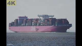 ONE FALCON  Shipspotting Germany 🇩🇪 IMO 9741425  River Elbe near City Otterndorf  4K VIDEO [upl. by Alenairam]