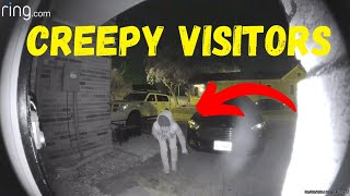 Unexpected Visitors And Petty Porch Pirates Caught on Ring Doorbell [upl. by Thurber]