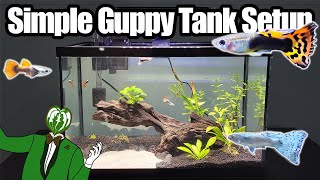 Simple 5 Gallon Guppy Tank Setup [upl. by Aiyt310]