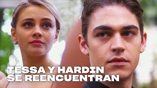 Tessa y Hardin se reencuentran en la boda  After Aquí Acaba Todo [upl. by Conlen]