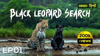 EP 01  Searching for Black Leopard  Pench Tiger Reserve  4K Video Hindi  हिन्दी [upl. by Ecydnak]