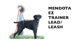 Mendota EZ Trainer LeadLeash [upl. by Kopp]