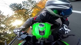 Kawasaki Ninja 300  Golden Autumn 60fps [upl. by Kelleher349]