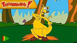 Toonimals  18  The Kangaroo  Full Episode [upl. by Nirot]