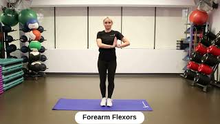 Forearm Flexors [upl. by Dyol]