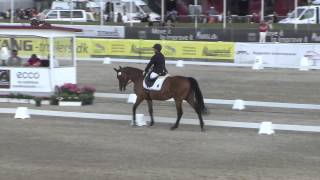 Ecco FEI European Championships 2013 Herning  ParaDressage Day 4 Highlights [upl. by Atinuj]