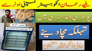 best incubators in Pakistan hatching machine egg hatching incubators Rehman incubators Lahore [upl. by Yci]