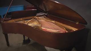 Steinway Model B 7 SemiConcert Grand Piano Mahogany 523839 [upl. by Nyletak]