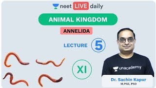 Animal Kingdom  L 5  Annelida  Class 11  Unacademy NEET  NEET Biology  Sachin Sir [upl. by Stromberg]