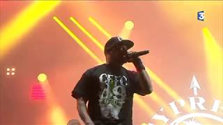 Début du concert de Cypress Hill  Cabaret Vert 2017 [upl. by Teriann]