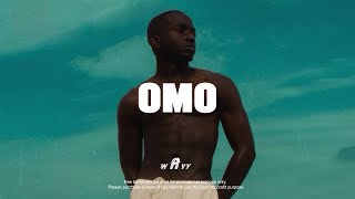 Burna Boy ft Omah lay Type Beat quotOMOquot Afrobeat Instrumental 2024 x Emotional Afrobeat Type Beat [upl. by Eldin]