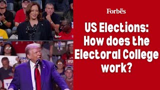 US elections How does the Electoral College work [upl. by Anauqed]