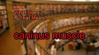 What does caninus muscle mean [upl. by Sansen750]