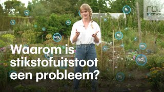 Dit is het stikstofprobleem in 1 minuut [upl. by Luisa]