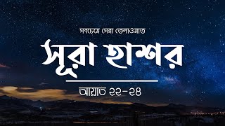 হৃদয় শীতল করা সূরা হাশরের শেষের তিন আয়াত তিলাওয়াত  Beautiful Quran Tilawat  Pipilika Tube [upl. by Nitsyrk772]