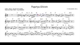 Nota Akor Eşlik  Papatya Gibisin  C Instruments  La [upl. by Gaile349]