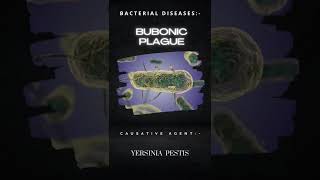 Top 14 Most Infectious and Deadliest Diseases Caused By Bacteria  STUDYMANIA  shorts biology [upl. by Ewold675]