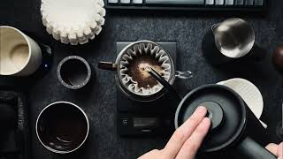 Kalita Wave 155 Stainless Steel  Pulse Recipe [upl. by Niamreg307]