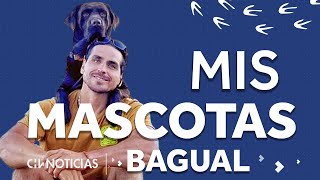 MIS MASCOTAS 3  La historia de Bagual el perro de Pangal  CHV Noticias [upl. by Nelda]