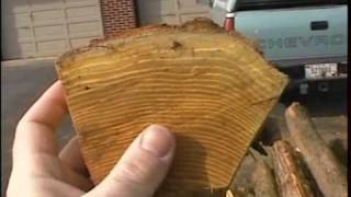 Splitting osage orange staves to make selfbows [upl. by Anigger]