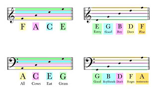 How To Read Notes On The Staff  EASY  Music Theory Tutorial [upl. by Soigroeg]