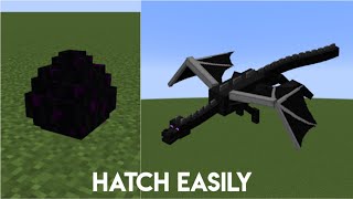 How to hatch Ender dragon in Minecraft  118 Working PEJavaBedrock [upl. by Jumbala647]