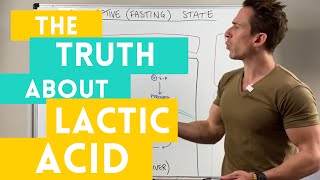 The Truth about Lactic Acid [upl. by Orelle]