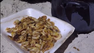 PESCARIA DE CAMARÃO À NOITE FRITO E COMIDO NA FAROFA [upl. by Hsirehc87]