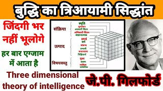 गिलफोर्ड का त्रिआयामी सिद्धांत three Dimensional theory of Gilford CTET TET SUPERTET REET [upl. by Moria]