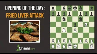 Fried Liver Attack  Chess Openings [upl. by Anneuq710]