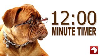 12 Minute Timer for PowerPoint and School  Alarm Sounds with Dog Bark [upl. by Innoj486]