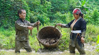 Dwarf family harvesting wild pears  catches loach in the mud  Primitive Joy [upl. by Oilicec]