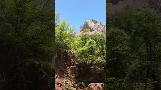 Lower Kayenta Trail at Zion National Park waterfall zionnationalpark utah usa hiking cave [upl. by Osanna]