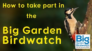 The RSPB Big Garden Birdwatch 2022  History and how to take part [upl. by Hewart]