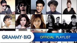 รวมเพลงฮิตฟังสบายๆ  MP3 Hits Playlist Vol4 GRAMMY BIG [upl. by Aitnic894]